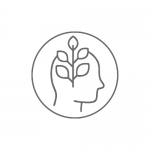 رشد
